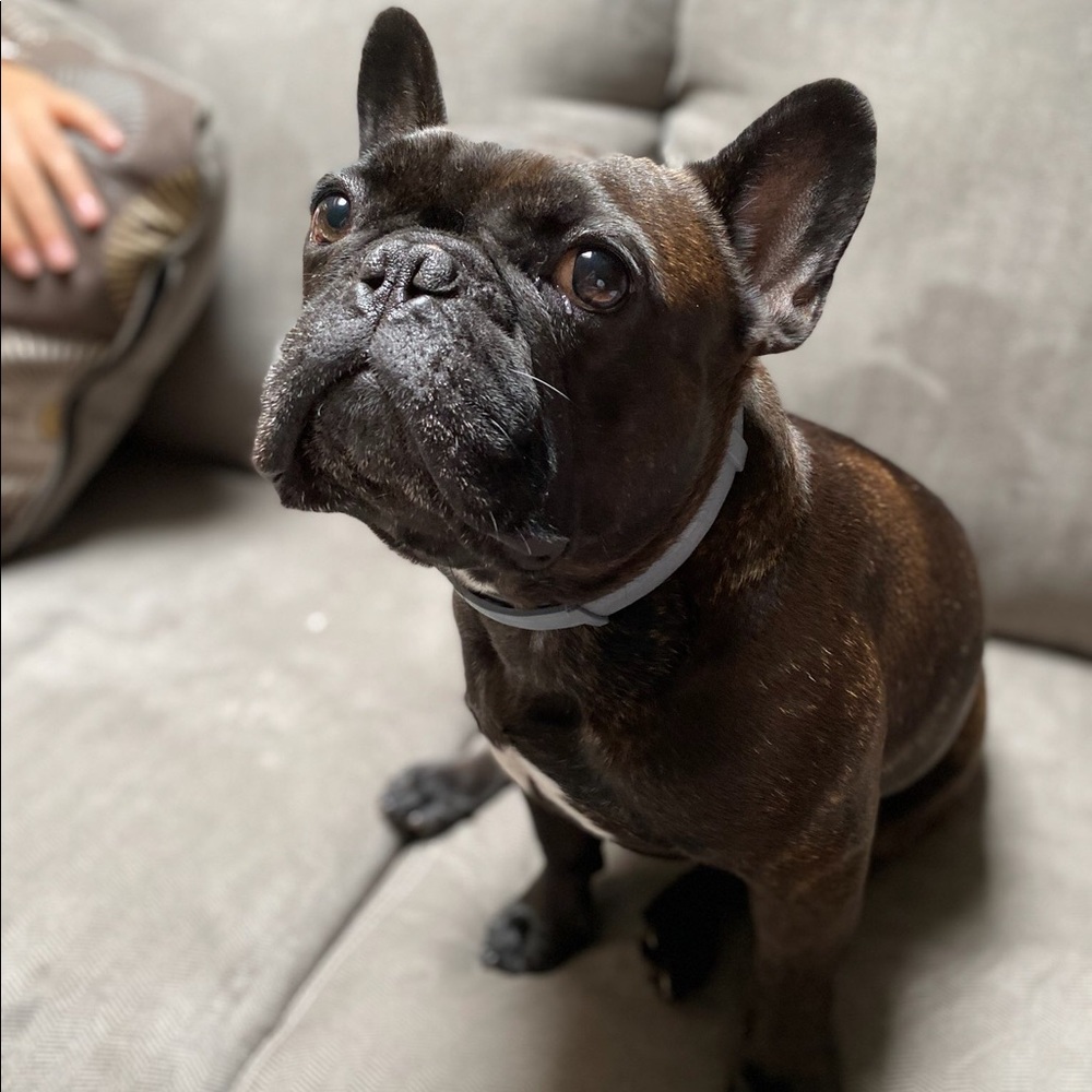 Meet your Posher, M.